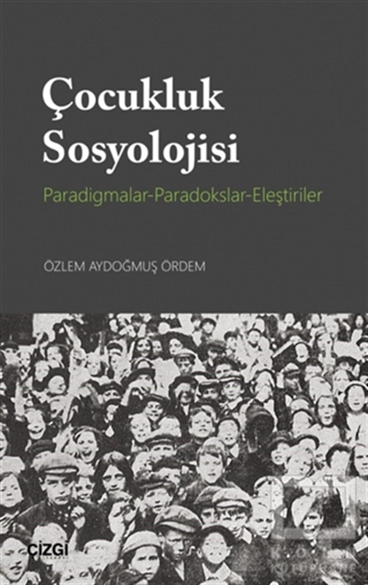 Özlem Aydoğmuş ÖrdemTürkçe Aile KitaplarıÇocukluk Sosyolojisi