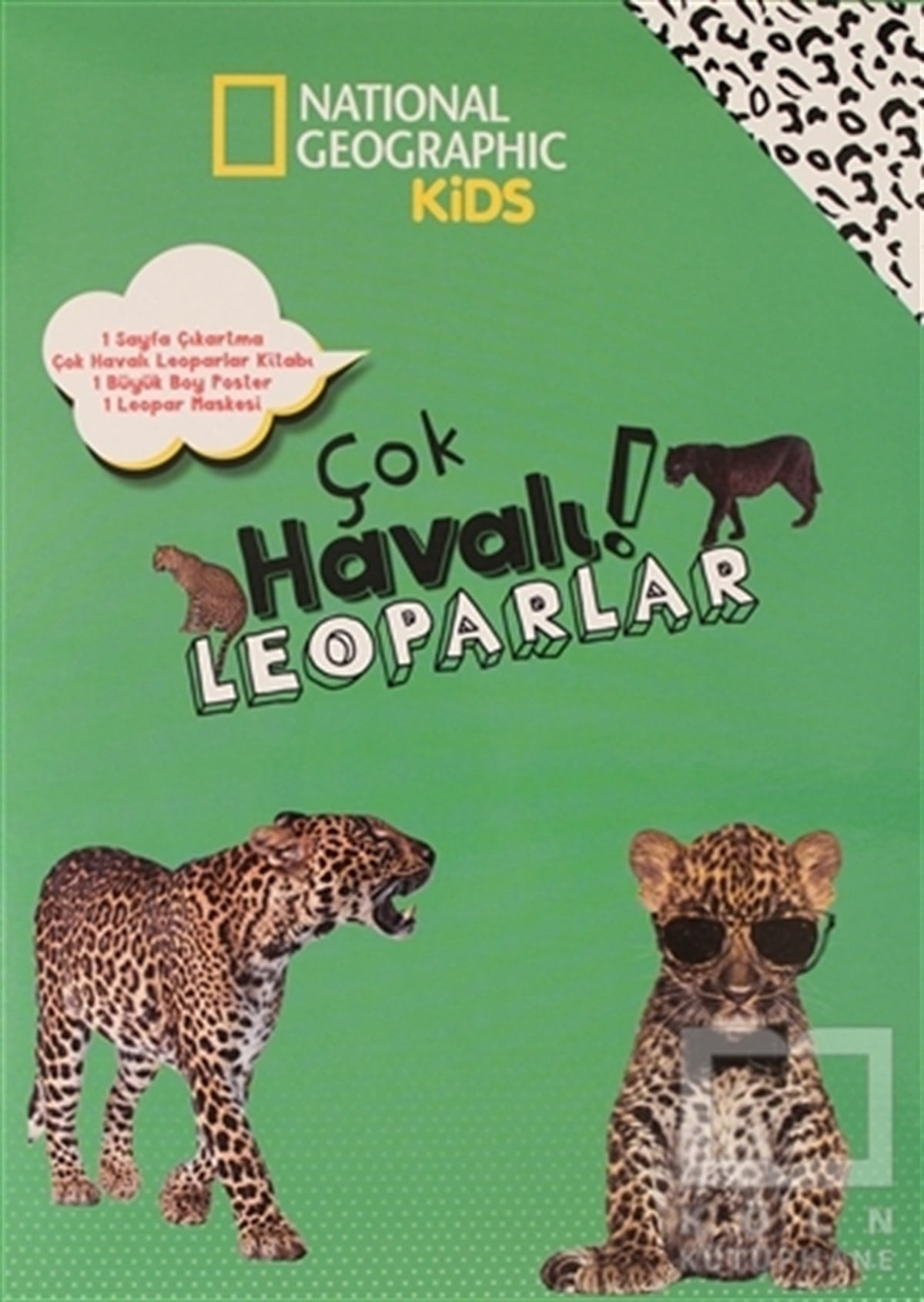 Crispin BoyerÇıkartmalı KitaplarÇok Havalı Leopar - National Geographic Kids