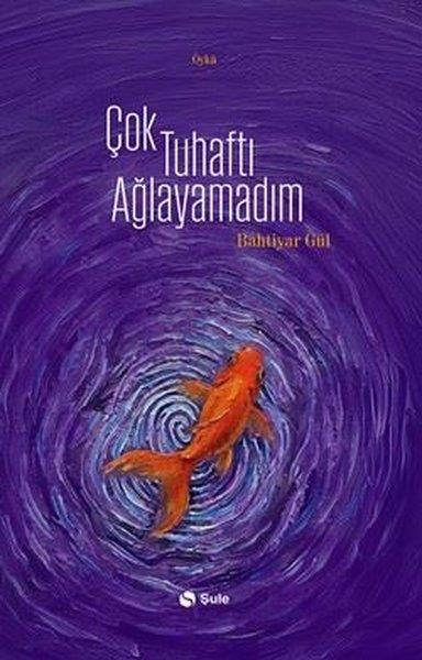 Bahtiyar GülTürk RomaniÇok Tuhaftı Ağlayamadım