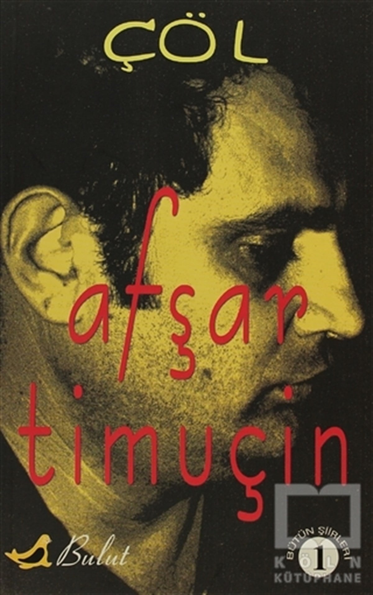 Afşar TimuçinŞiirÇöl