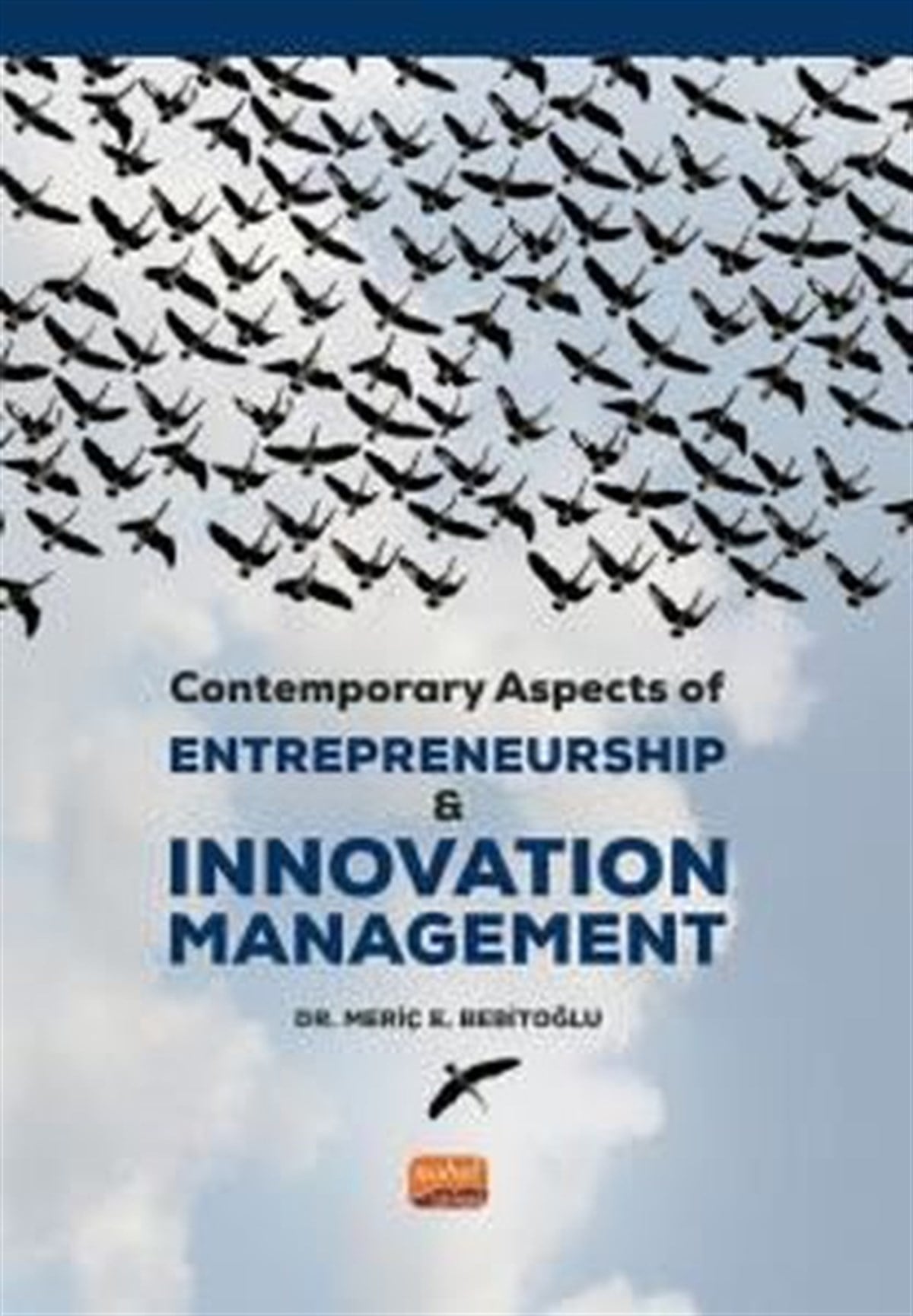 Meriç E. BebitoğluOther (Reference)Contemporary Aspects of Entrepreneurship and Innovation Management