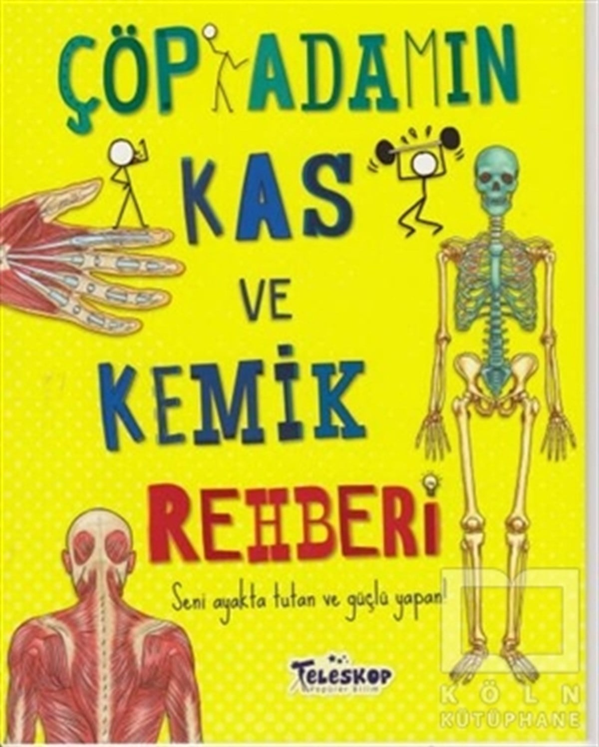 John FarndonPopüler BilimÇöp Adamın Kas ve Kemik Rehberi