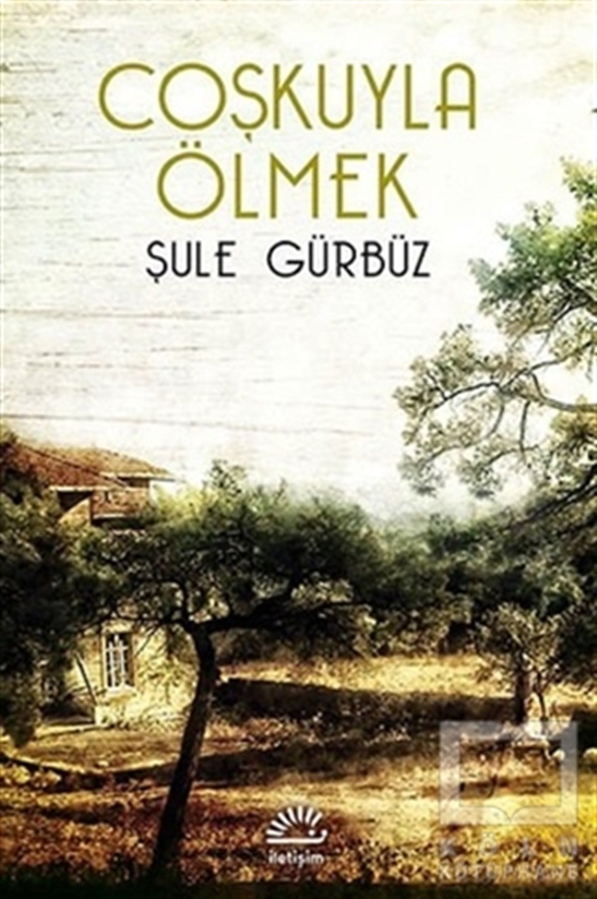 Şule GürbüzÖyküCoşkuyla Ölmek