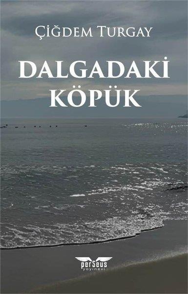 Çiğdem TurgayTürk RomaniDalgadaki Köpük