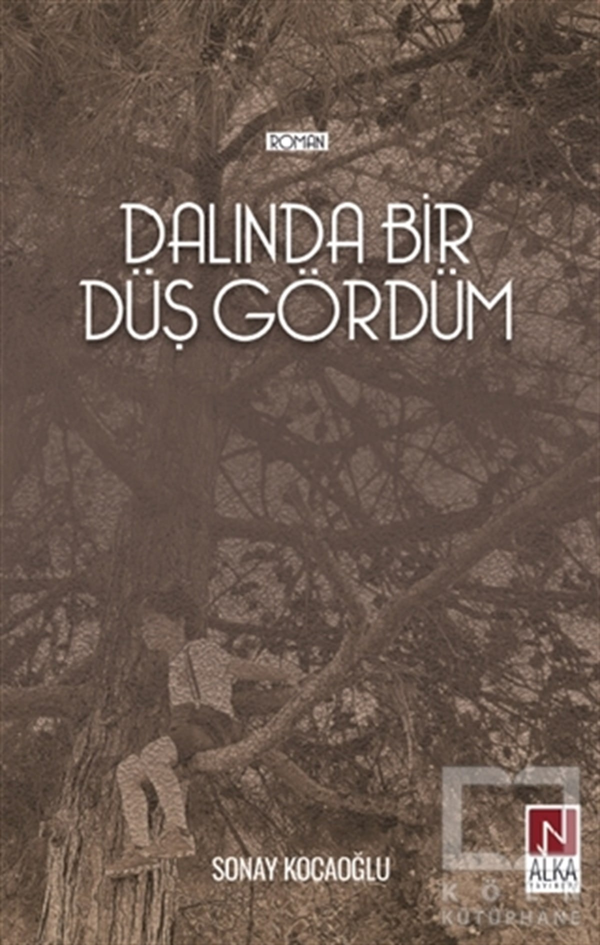 Sonay KocaoğluTürkçe RomanlarDalında Bir Düş Gördüm