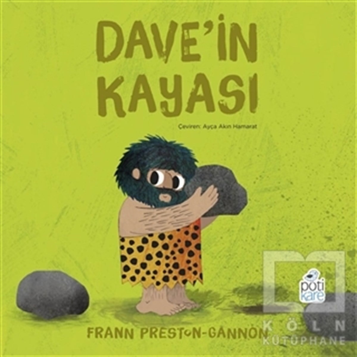 Frann Preston-GannonÇocuk Hikaye KitaplarıDave’in Kayası