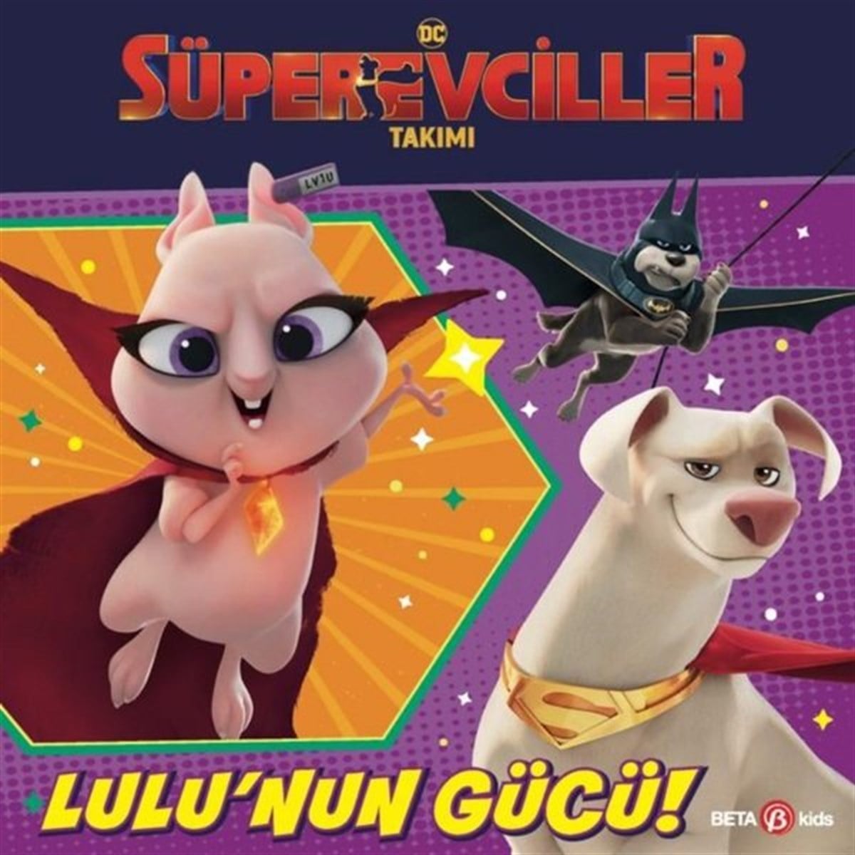 Rachel ChlebowskiEgitim Etkinlik KitaplariDC Süper Evciller Takımı - Lulu'nun Gücü!