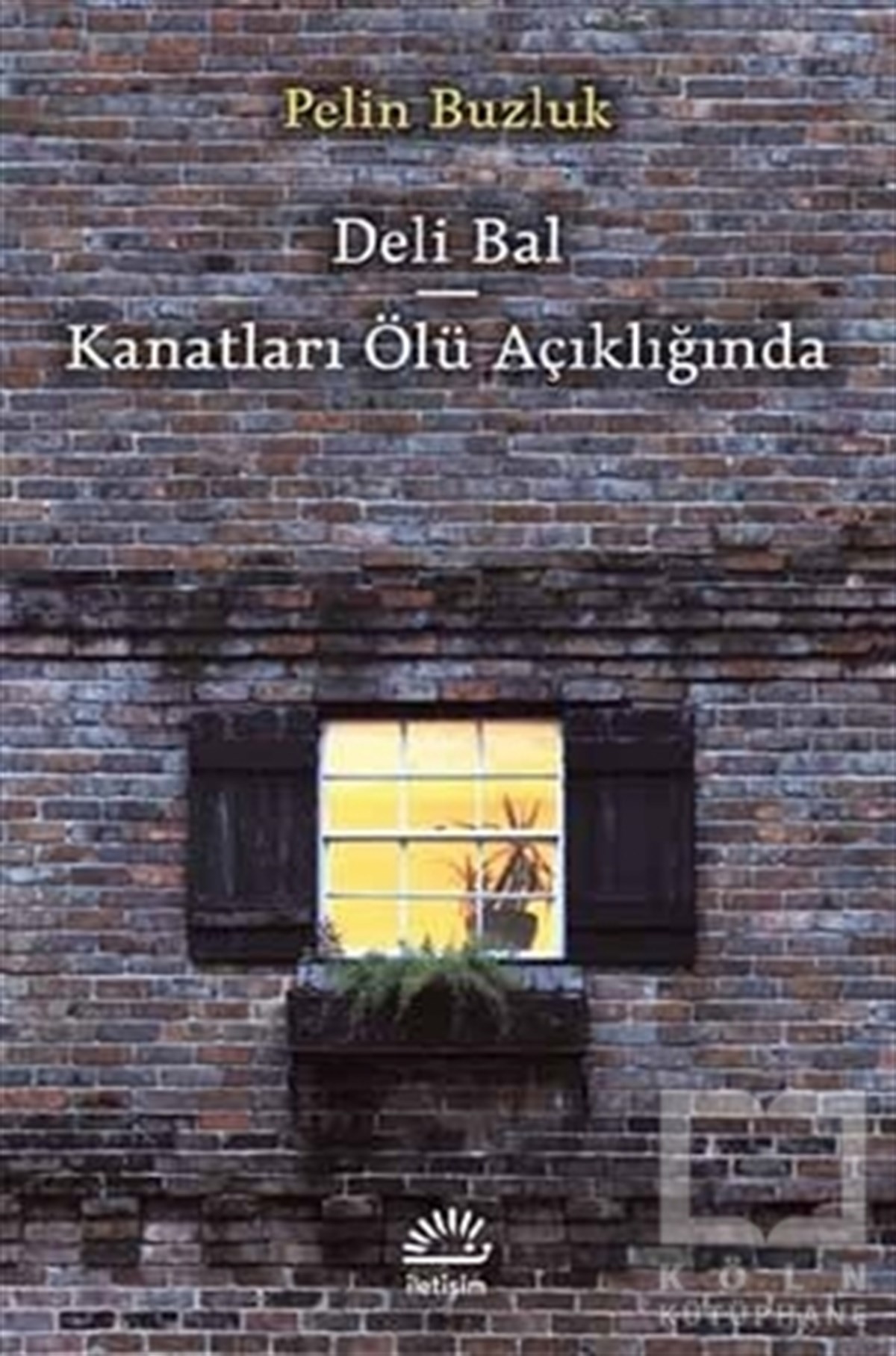 Pelin BuzlukÖyküDeli Bal - Kanatları Ölü Açıklığında