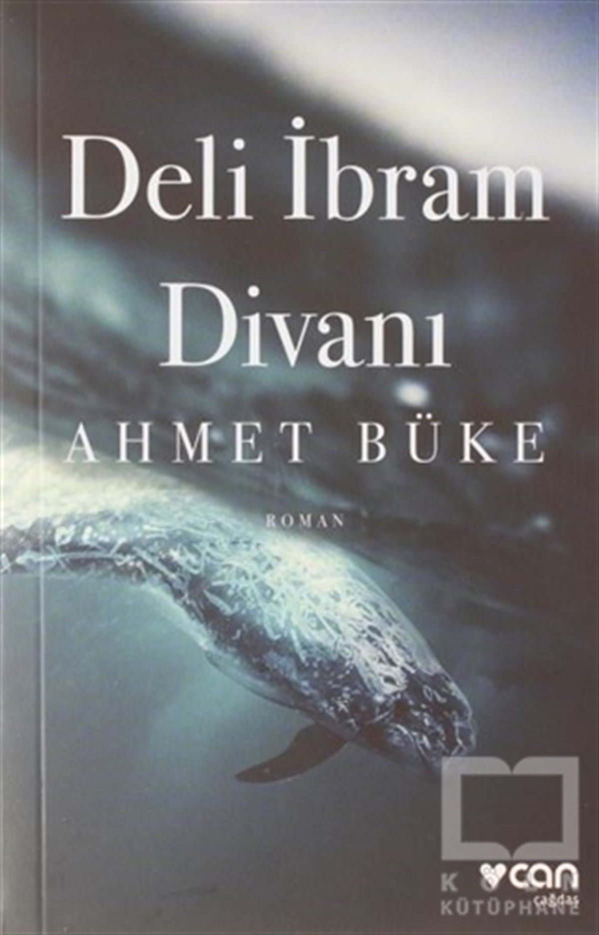 Ahmet BükeTürkçe RomanlarDeli İbrahim Divanı