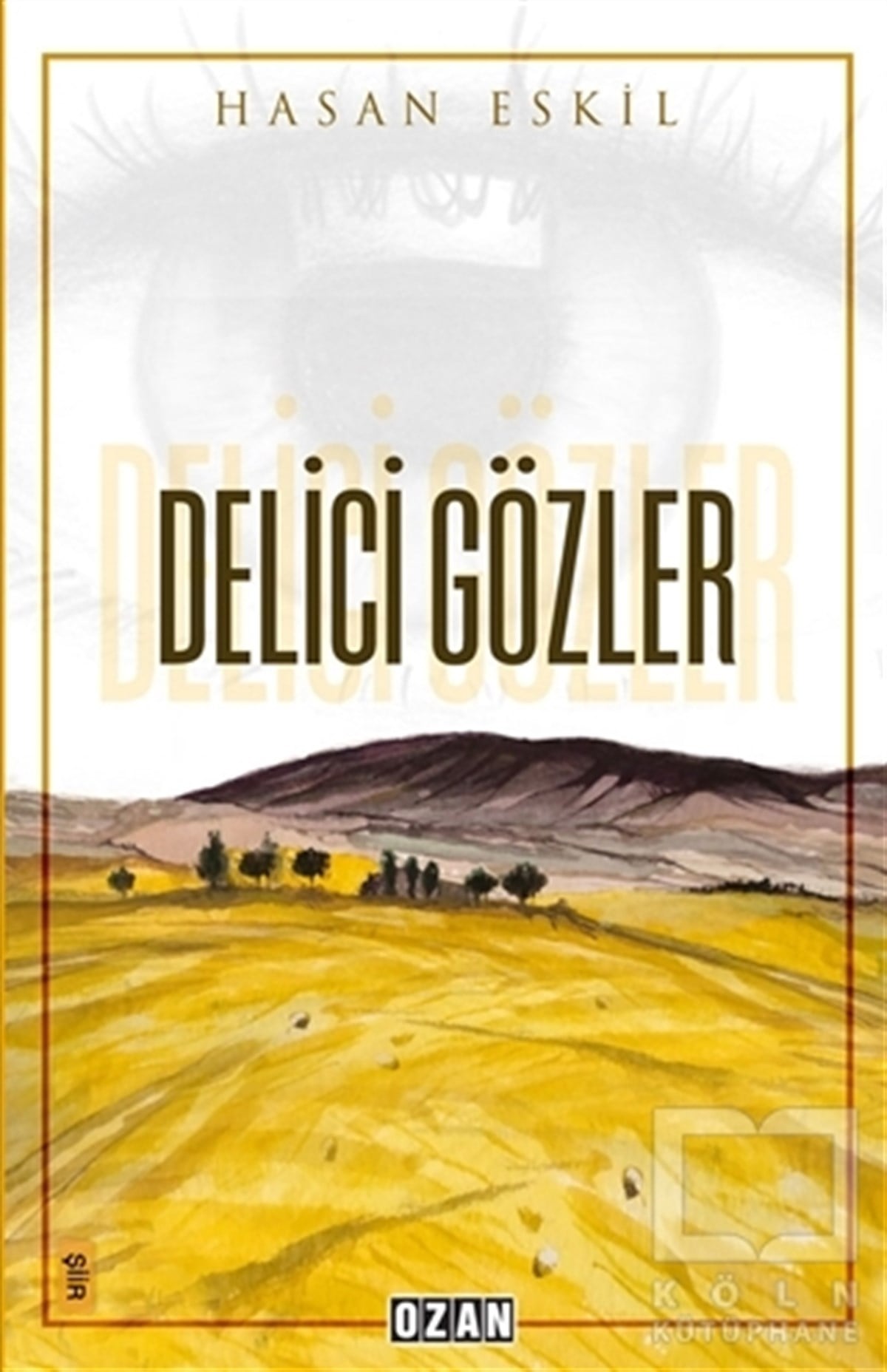 Hasan EskilŞiirDelici Gözler