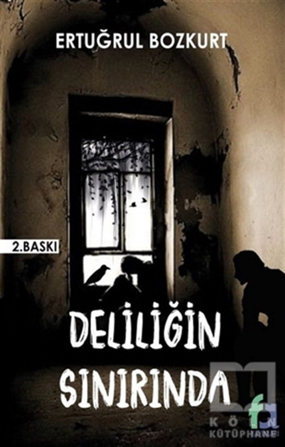 Ertuğrul BozkurtTürkçe RomanlarDeliliğin Sınırında