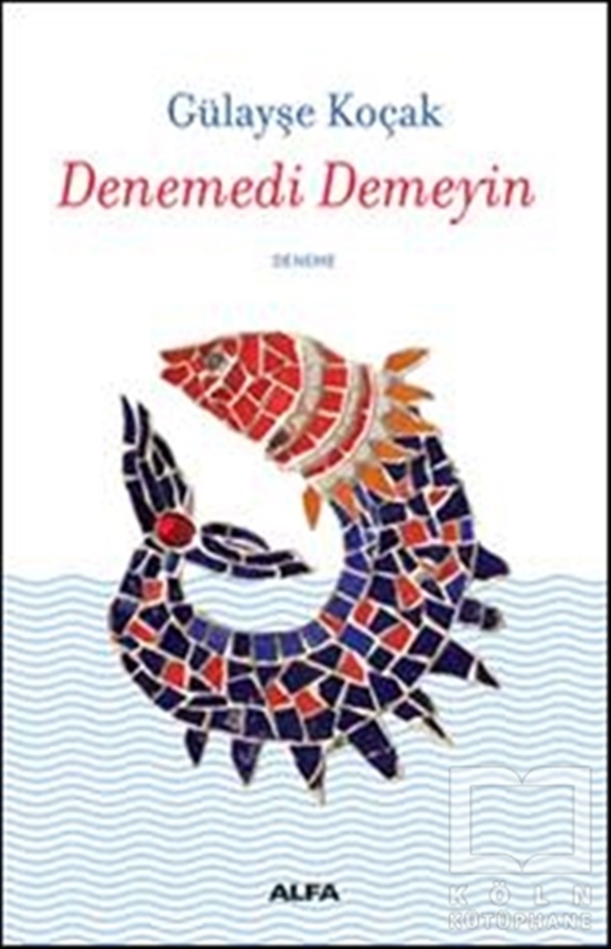 Gülayşe KoçakDenemeDenemedi Demeyin