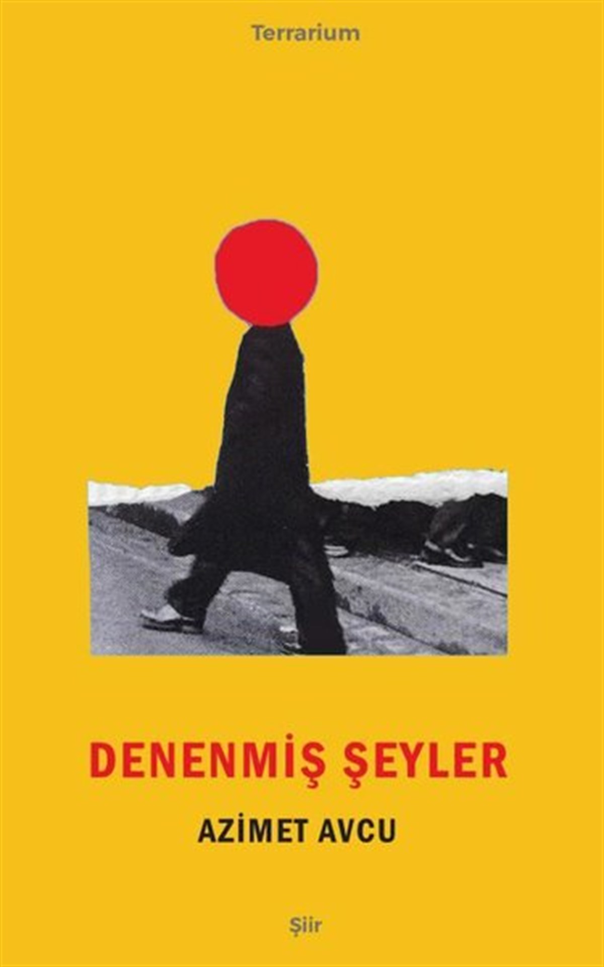 Azimet AvcuTürk ŞiiriDenenmiş Şeyler