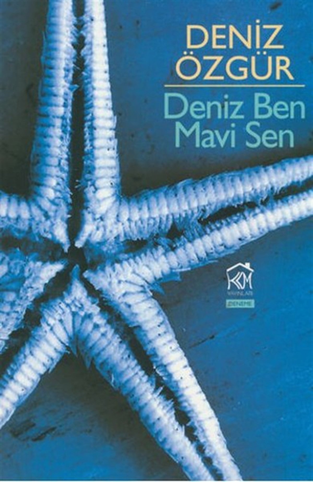 Deniz ÖzgürDeneme KitaplarıDeniz Ben Mavi Sen