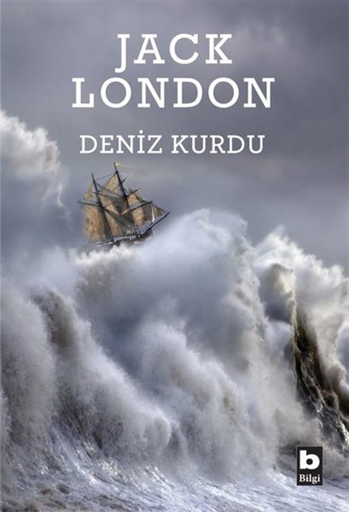Jack LondonDünya KlasikleriDeniz Kurdu