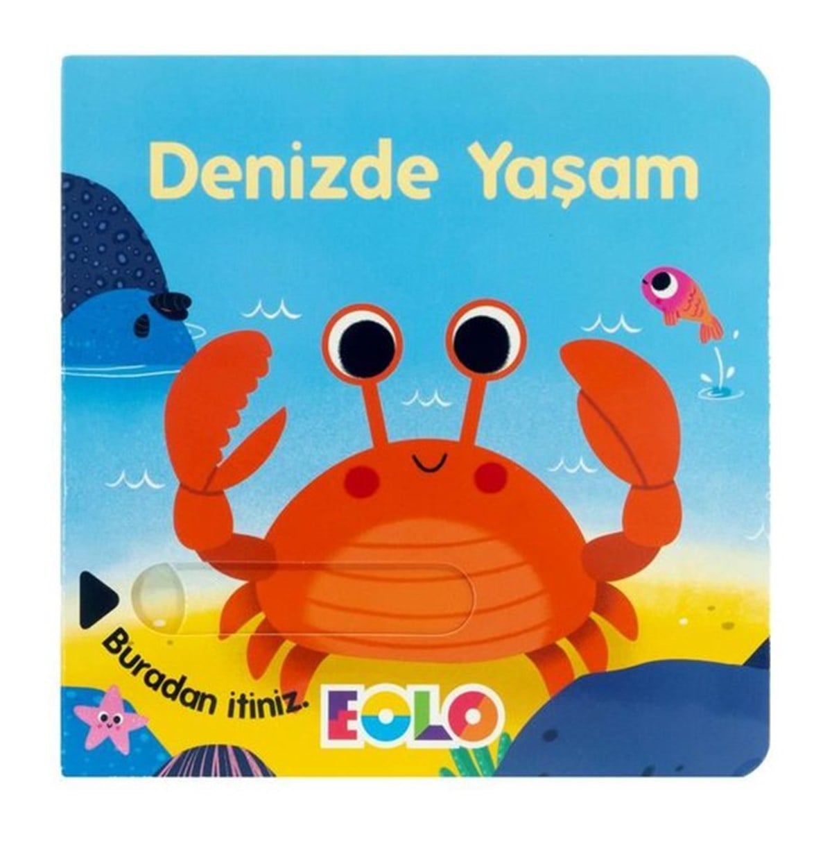 KolektifEgitim Etkinlik KitaplariDenizde Yaşam - Sürgülü Kitaplar