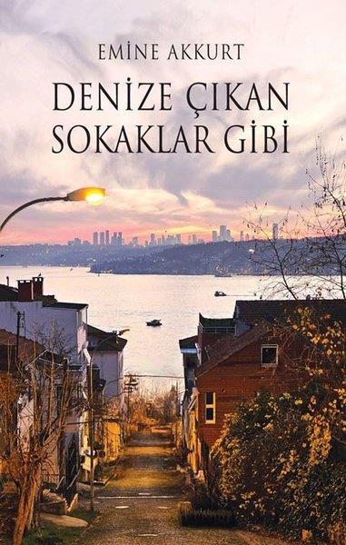 Emine AkkurtTürk ŞiiriDenize Çıkan Sokaklar Gibi