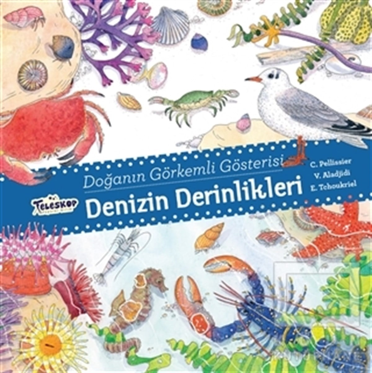 C. PellissierZeka GelişimiDenizin Derinlikleri - Doğanın Görkemli Gösterisi
