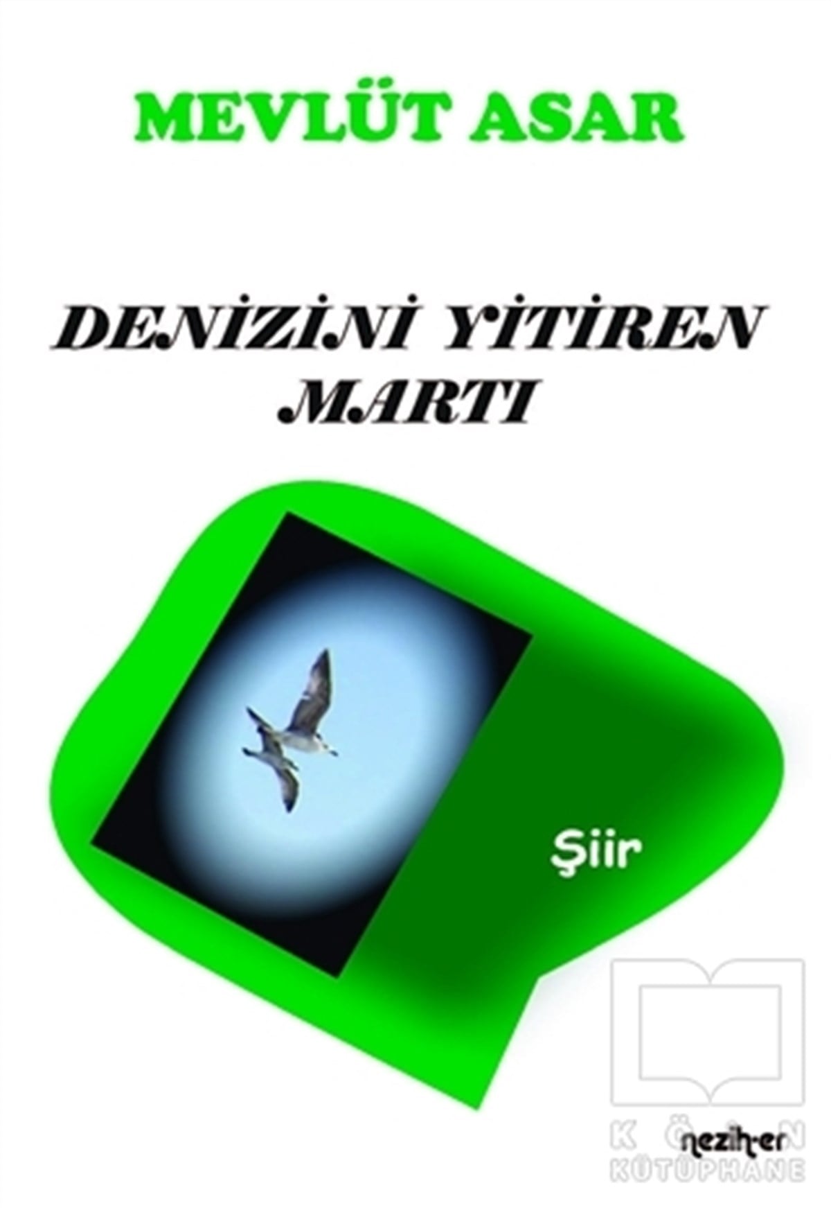 Mevlüt AsarŞiirDenizini Yitiren Martı