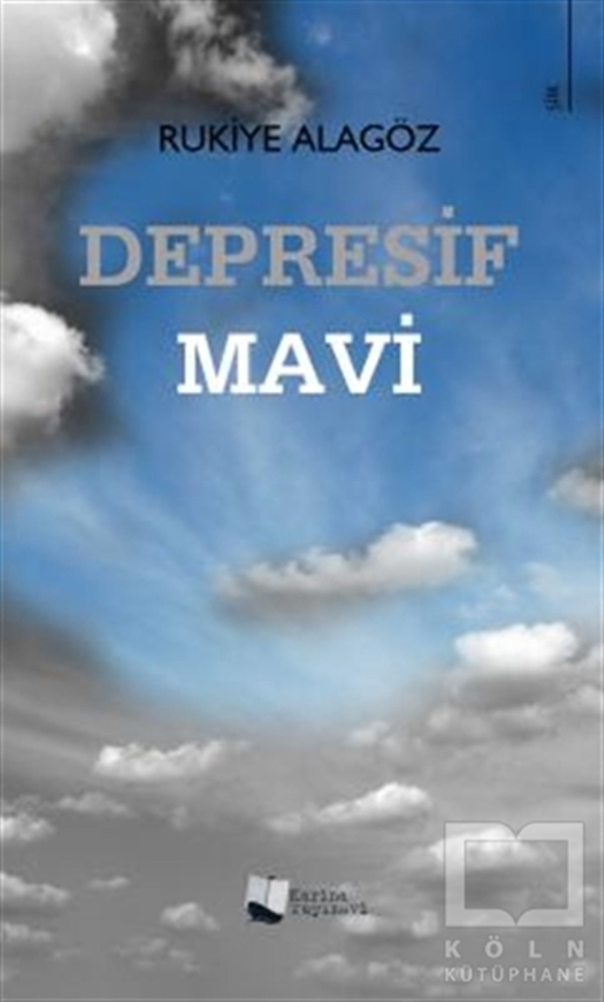 Rukiye AlagözTürkçe Şiir KitaplarıDepresif Mavi