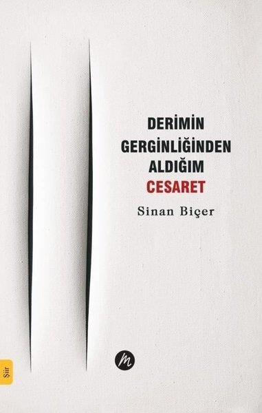 Sinan BiçerTürk ŞiiriDerimin Gerginliğinden Aldığım Cesaret