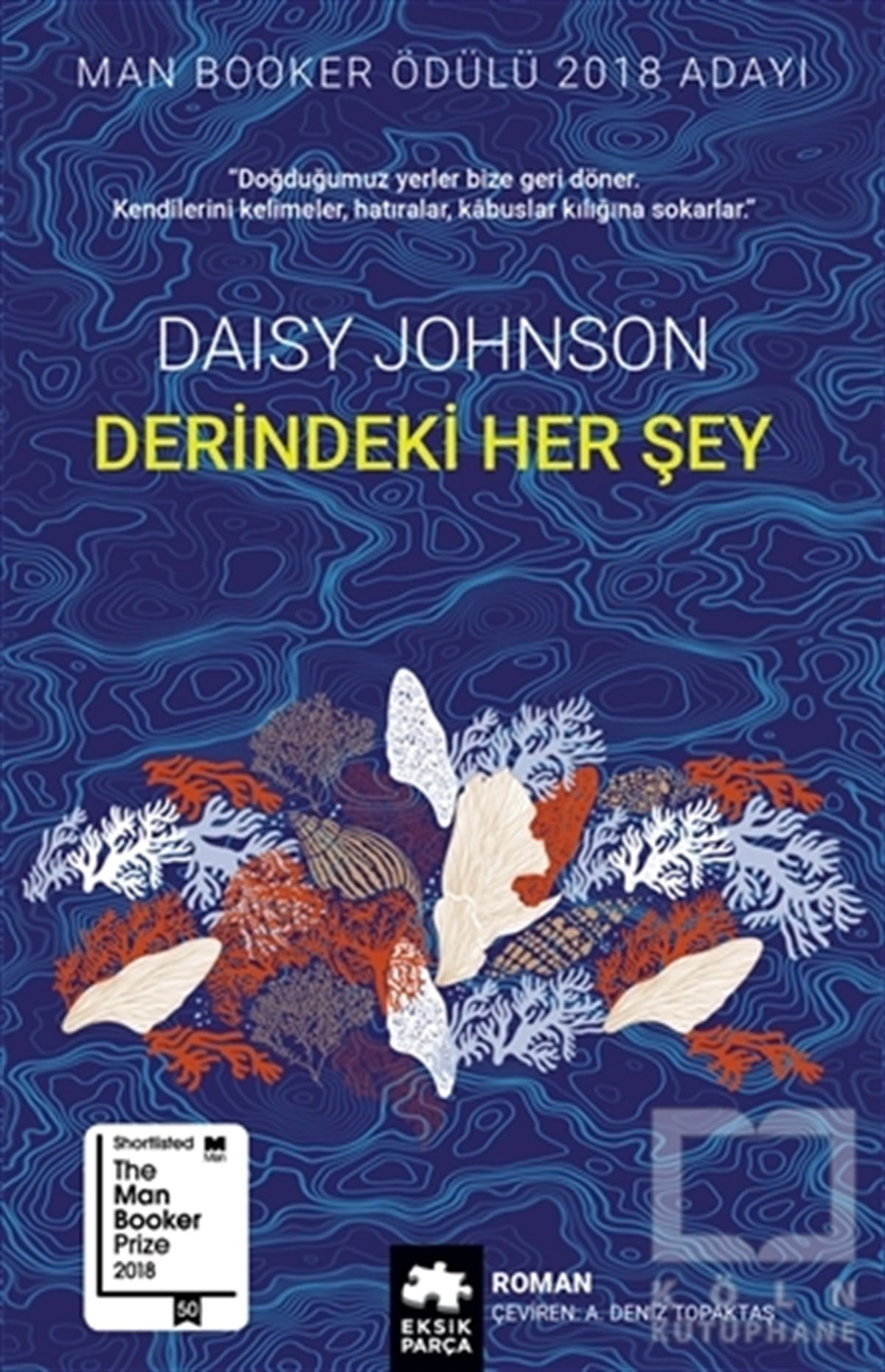 Daisy JohnsonTürkçe RomanlarDerindeki Her Şey