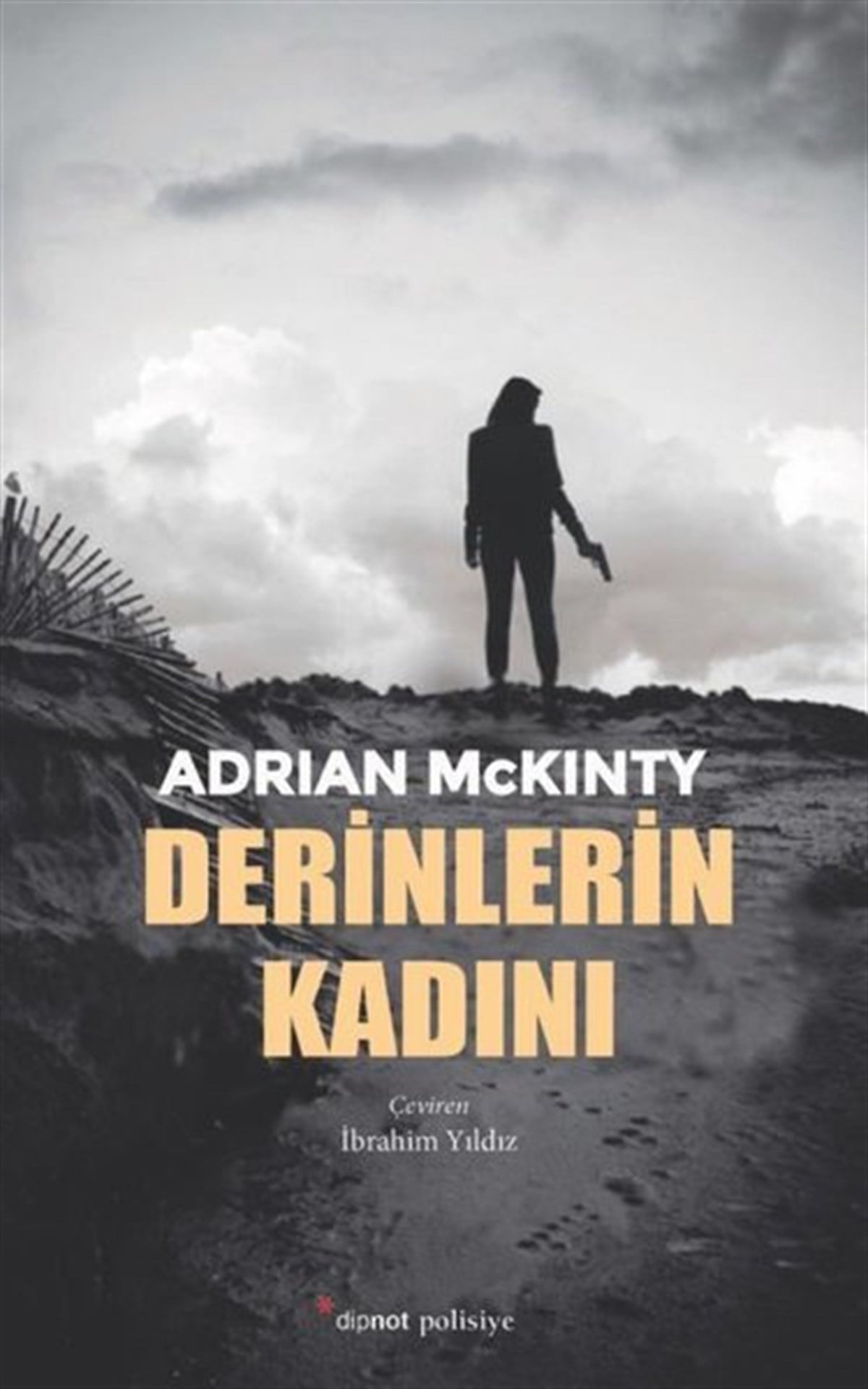 Adrian McKintyPolisiye Romanlar & Cinayet RomanlarıDerinlerin Kadını