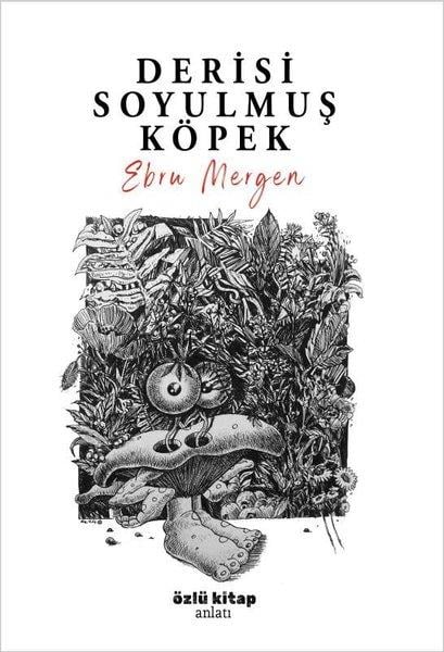 Ebru MergenHikaye (Öykü) KitaplarıDerisi Soyulmuş Köpek