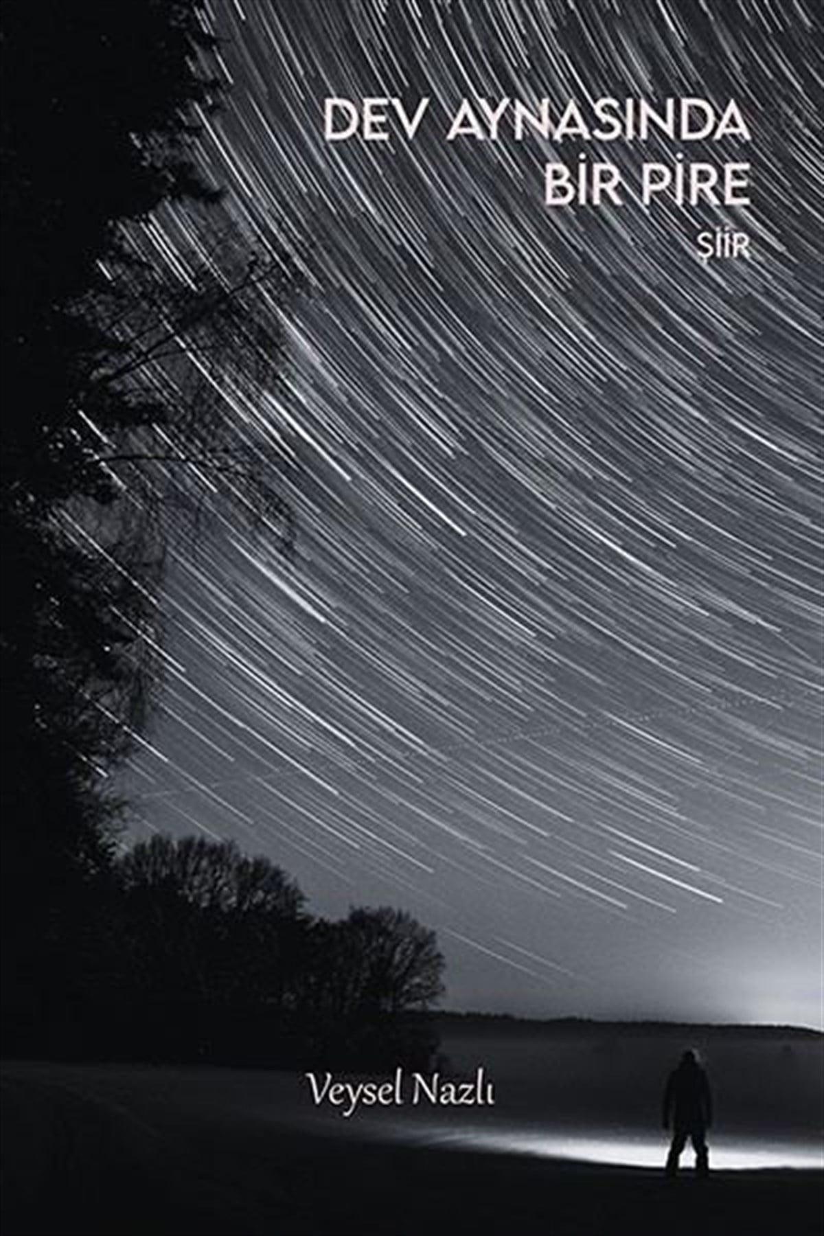 Veysel NazlıTürk ŞiiriDev Aynasında Bir Pire