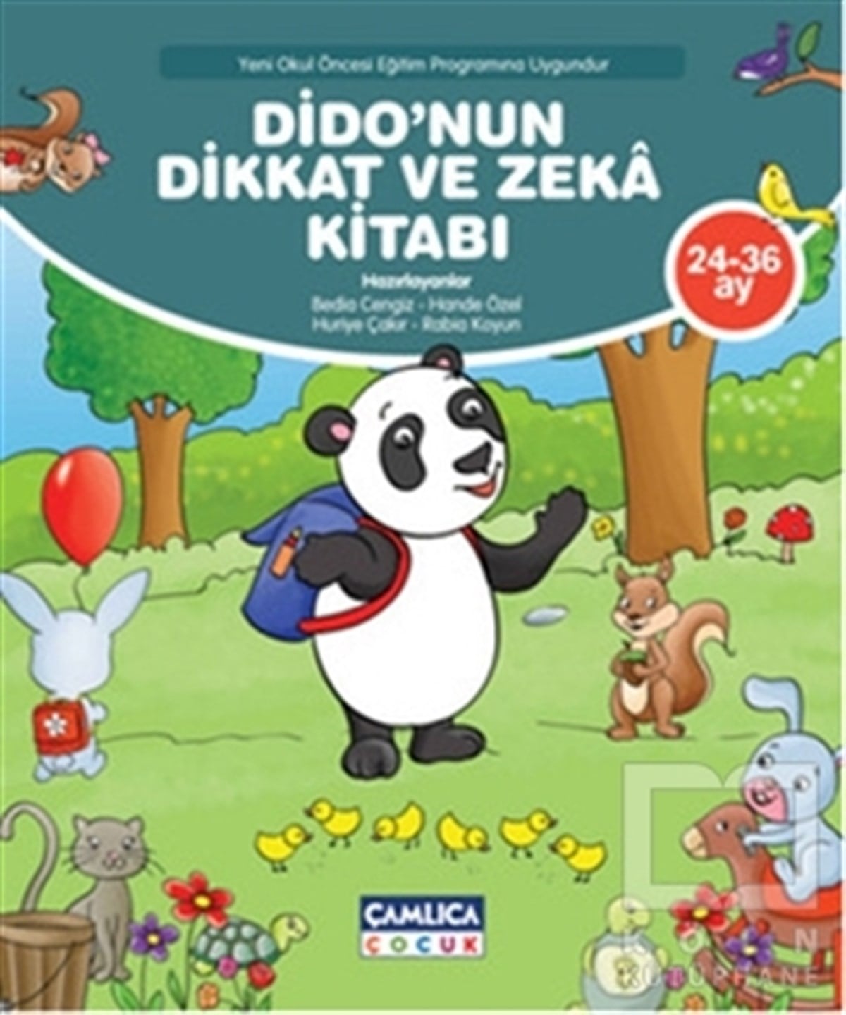 KolektifDiğerDido'nun Dikkat ve Zeka Kitabı