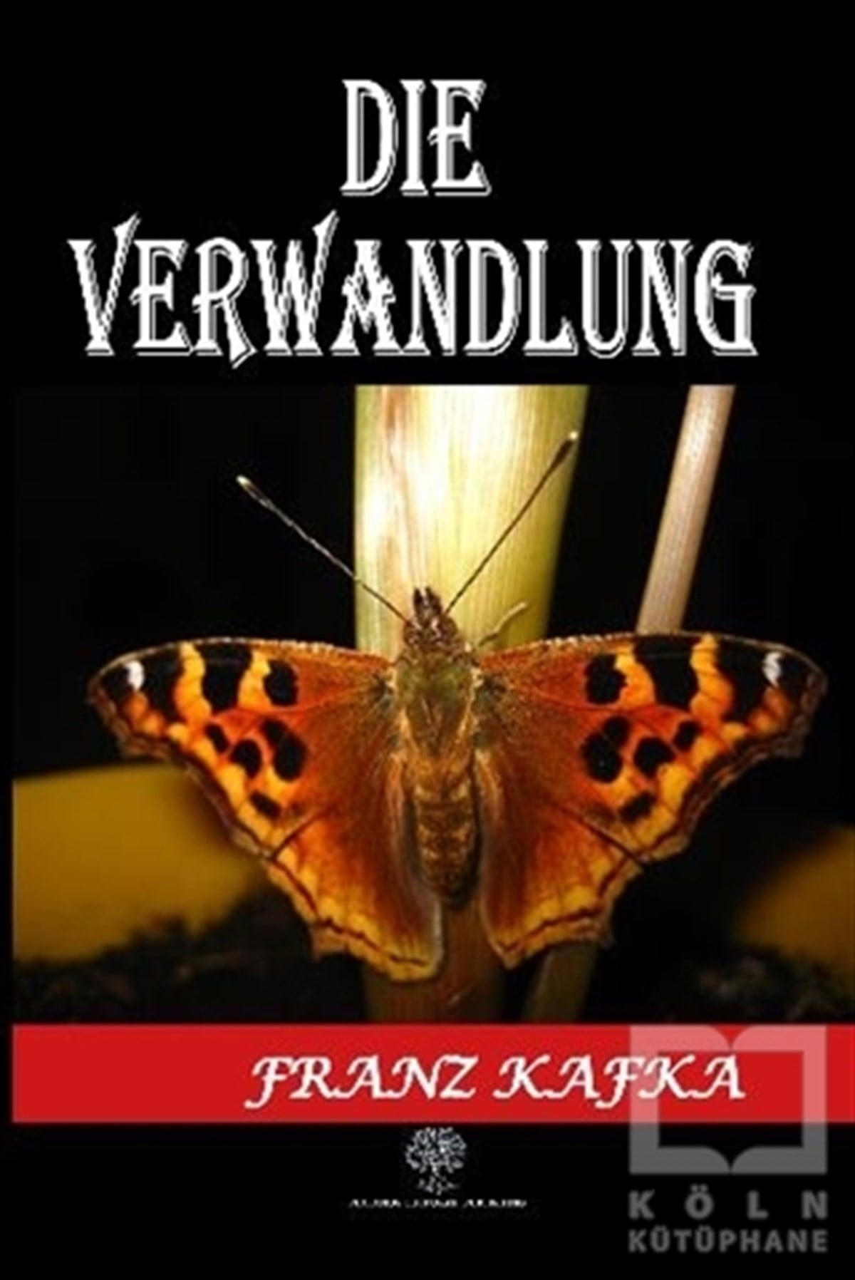 Franz KafkaTürkçe RomanlarDie Verwandlung
