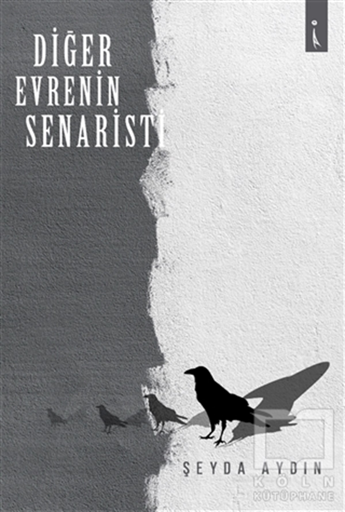 Şeyda AydınRomanDiğer Evrenin Senaristi