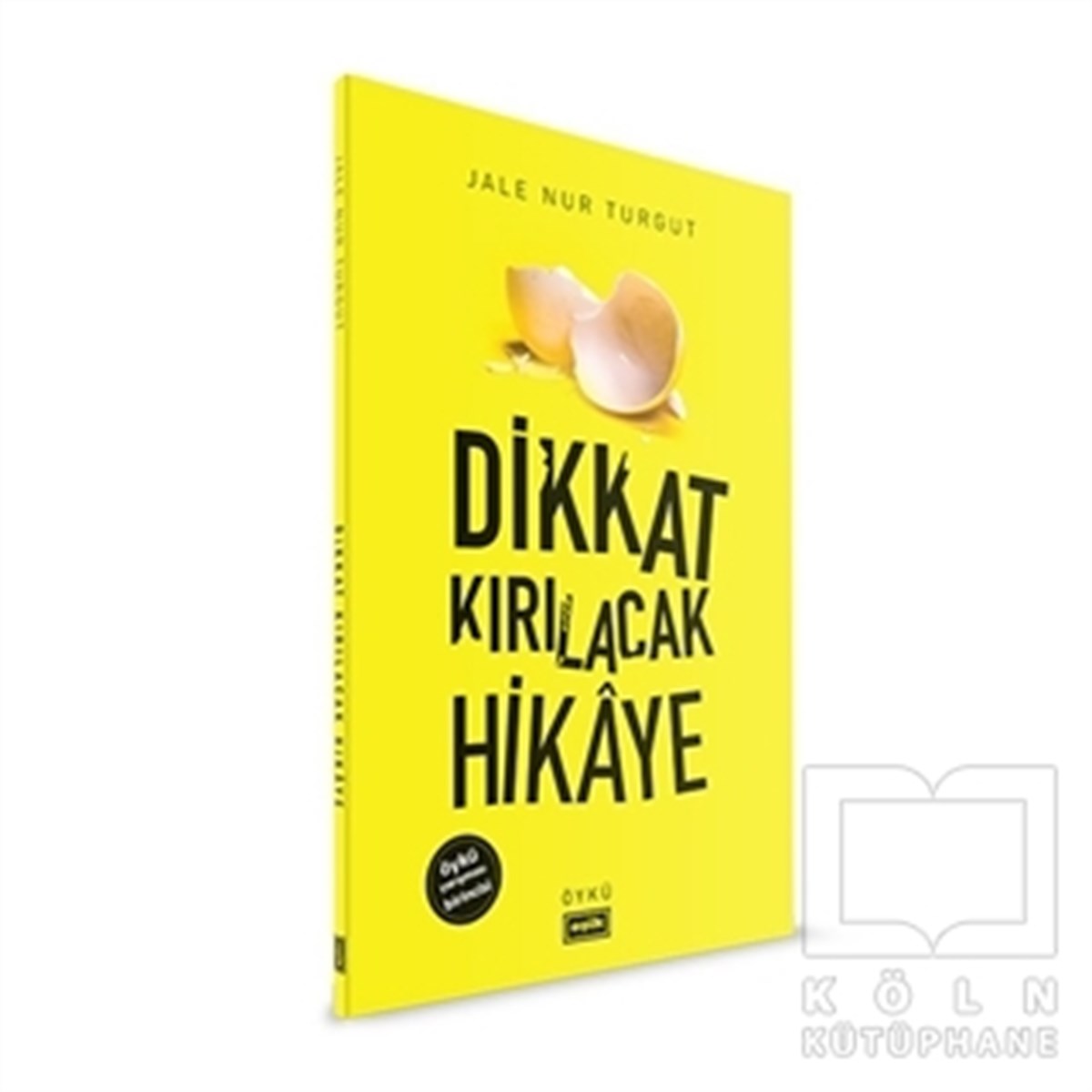 Jale Nur TurgutÖyküDikkat Kırılacak Hikaye