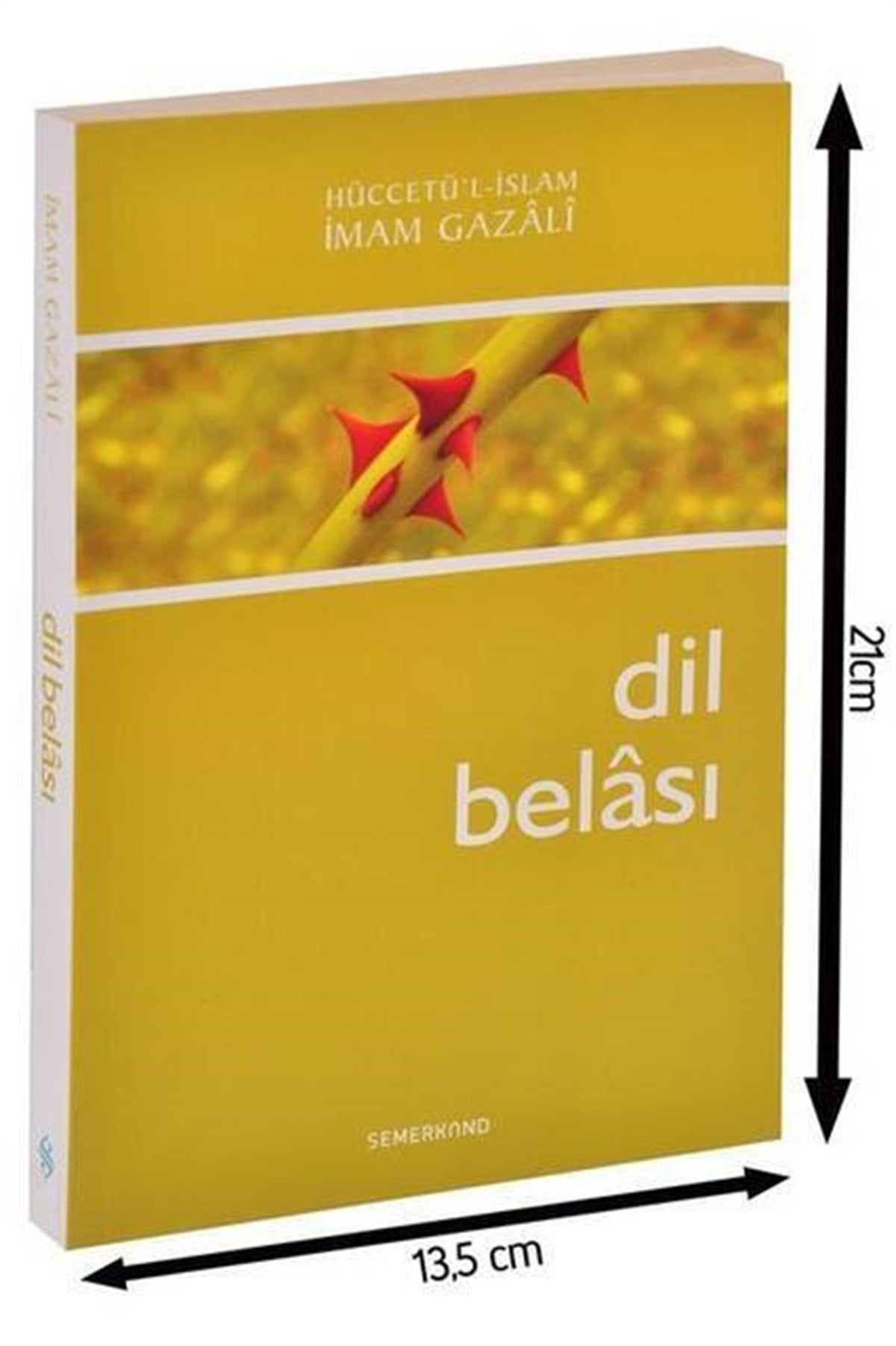 Dil Belası-1813