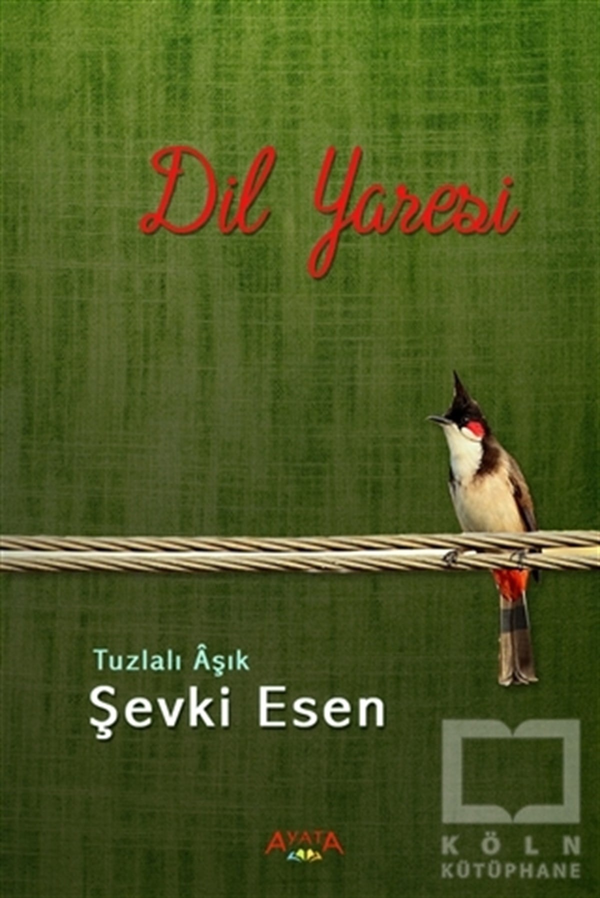 Şevki EsenŞiirDil Yaresi
