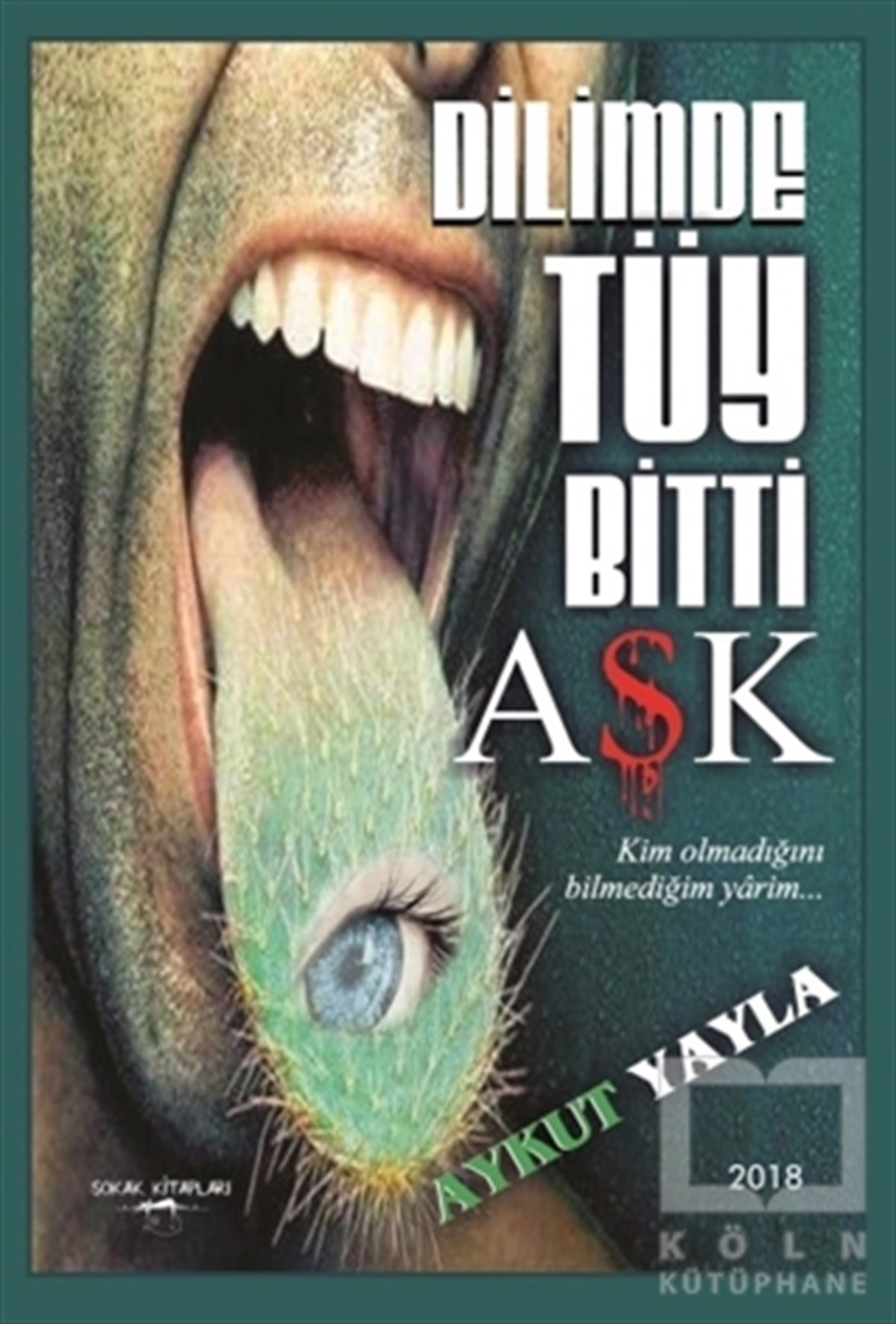 Aykut YaylaRomanDilimde Tüy Bitti Aşk