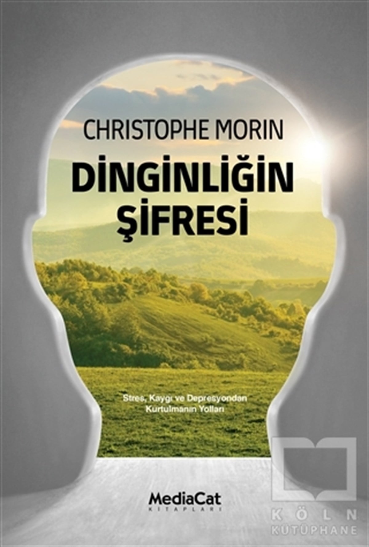 Christophe MorinGenel Psikoloji KitaplarıDinginliğin Şifresi