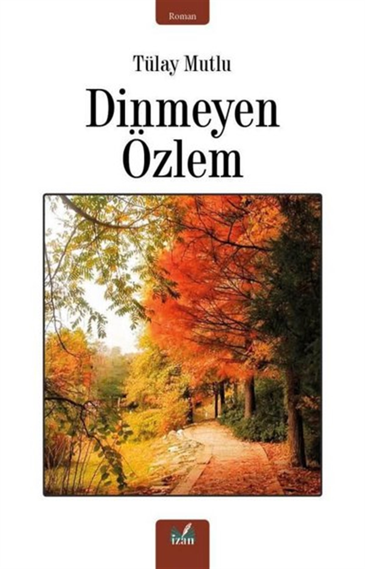 Tülay MutluTürkiye RomanDinmeyen Özlem