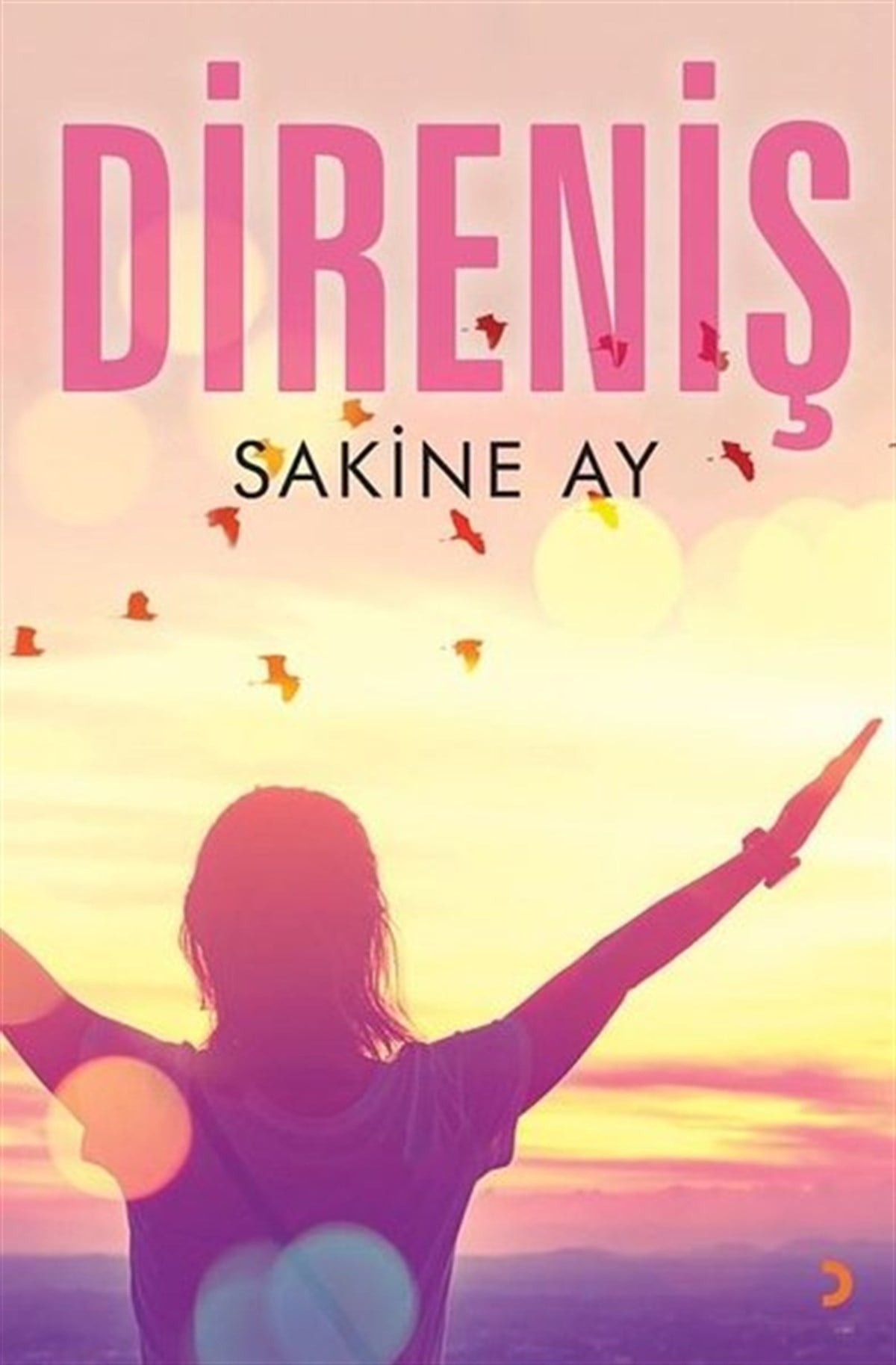 Sakine AyTürkiye RomanDireniş