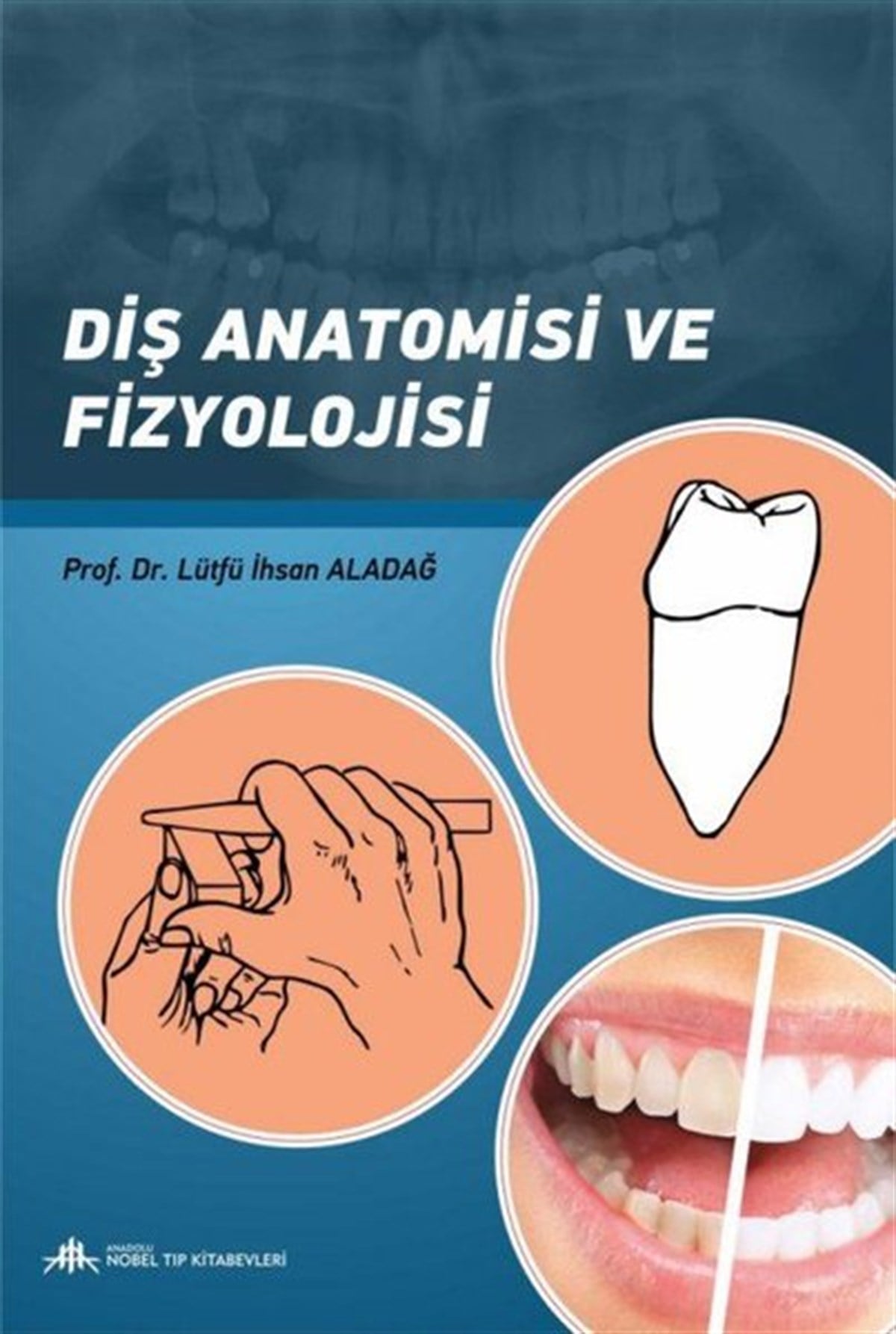 KolektifTıpDiş Anatomisi ve Fizyolojisi