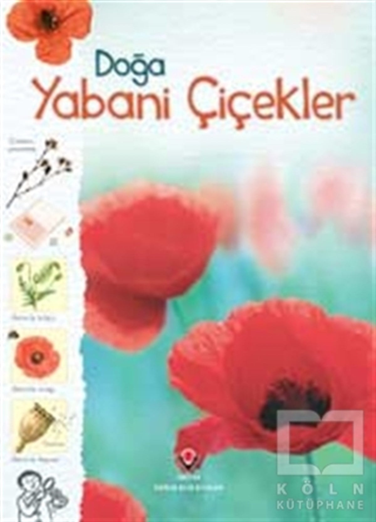 Sarah KhanPopüler BilimDoğa - Yabani Çiçekler