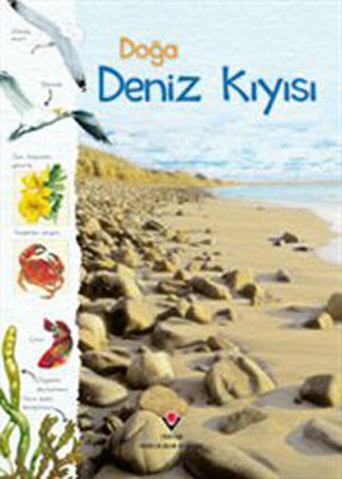 Sarah CourtauldTübitak KitaplarıDoğa - Deniz Kıyısı