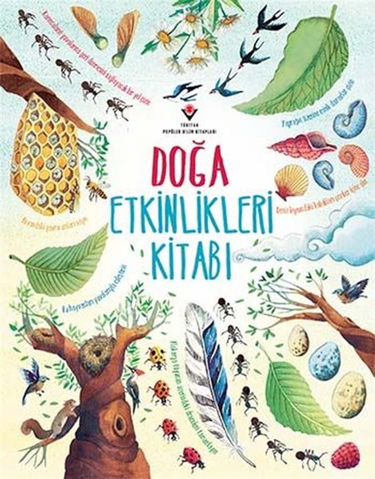 Emily BoneEgitim Etkinlik KitaplariDoğa Etkinlikleri Kitabı