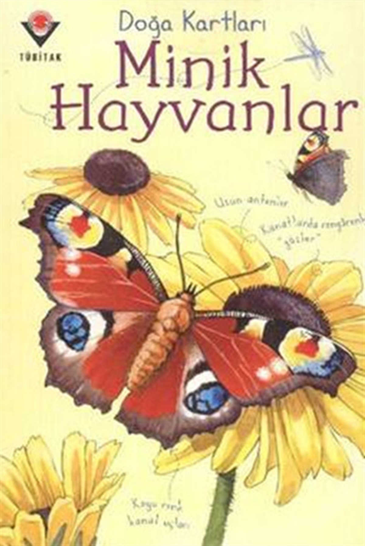 Emily BoneTübitak KitaplarıDoğa Kartları - Minik Hayvanlar