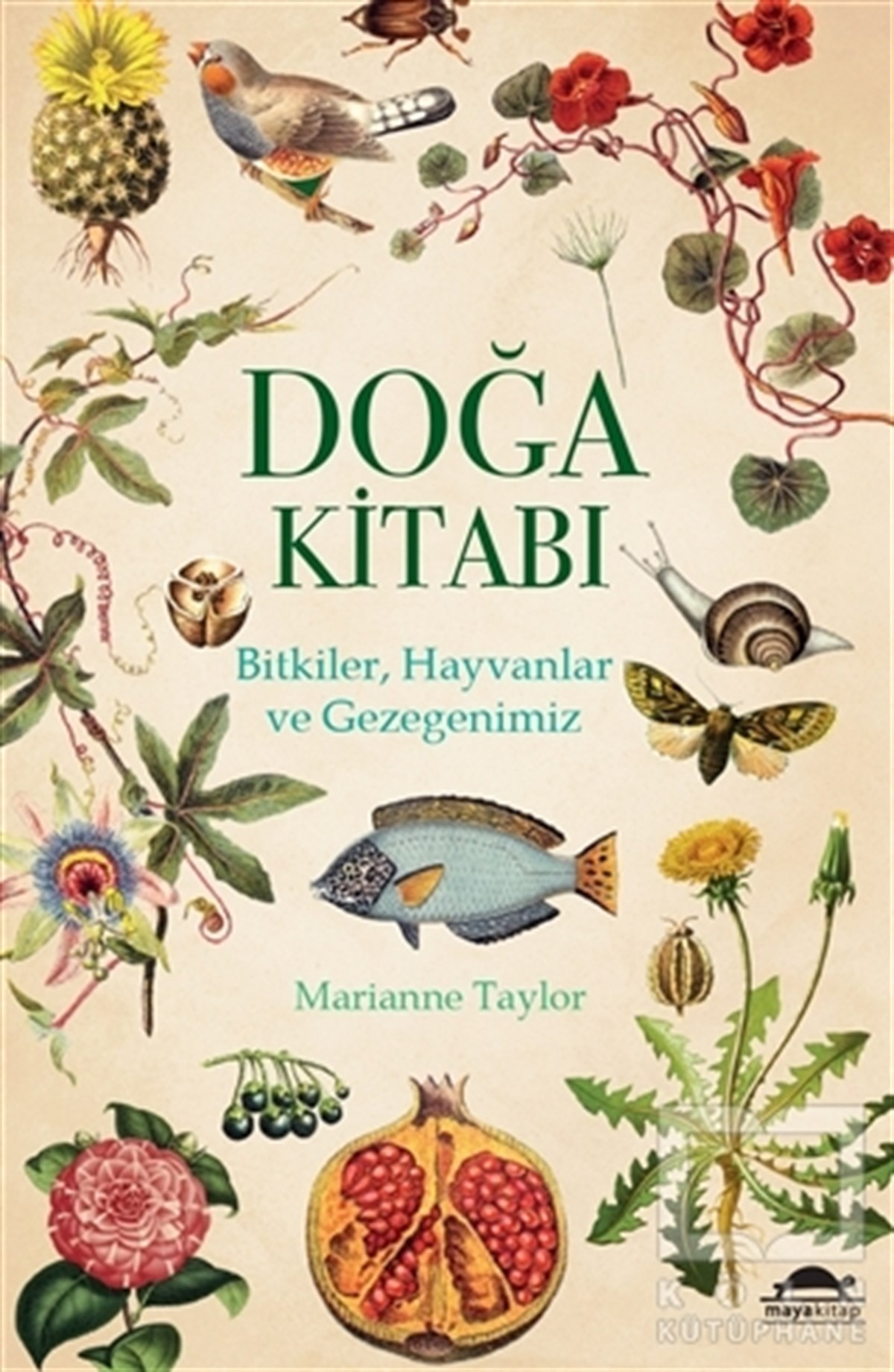 Marianne TaylorDoğa Bilimleri KitaplarıDoğa Kitabı