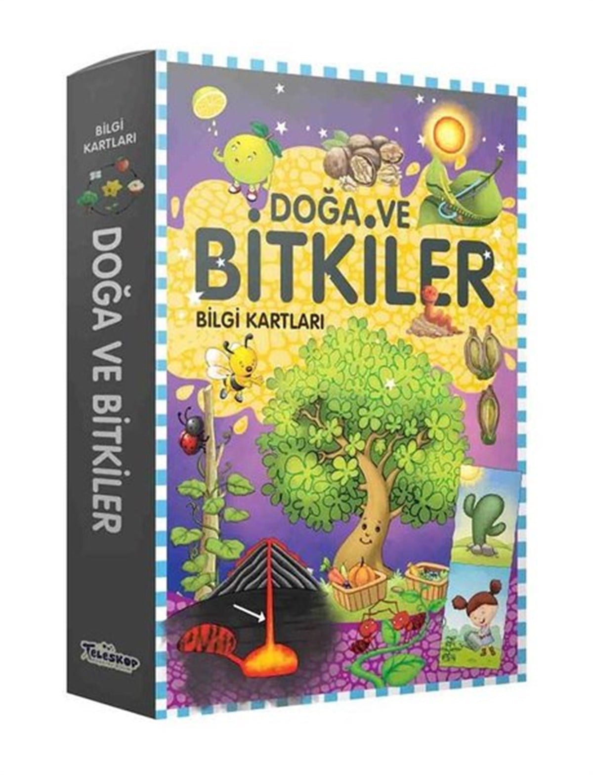 KolektifEgitim Etkinlik KitaplariDoğa ve Bitkiler - Bilgi Kartları