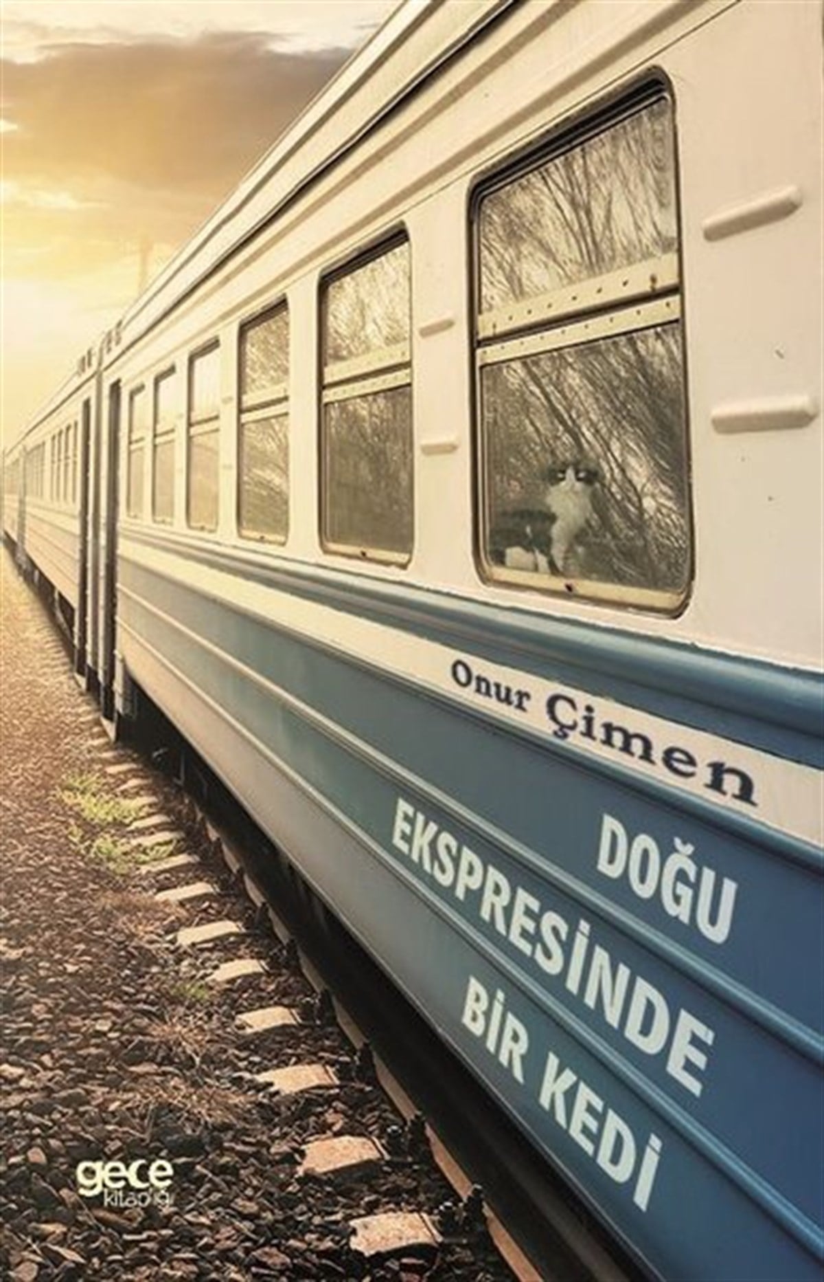 Onur ÇimenGezi Rehberi KitaplarıDoğu Ekspresinde Bir Kedi