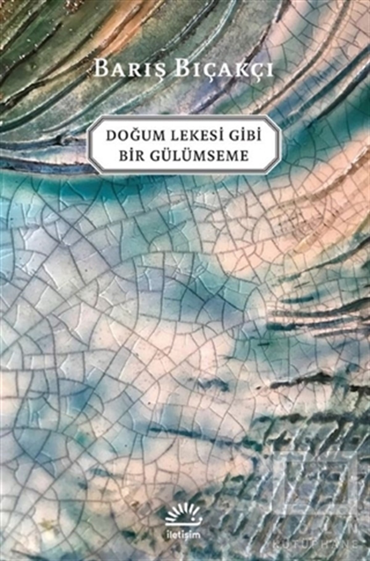 Barış BıçakçıTürkçe RomanlarDoğum Lekesi Gibi Bir Gülümseme
