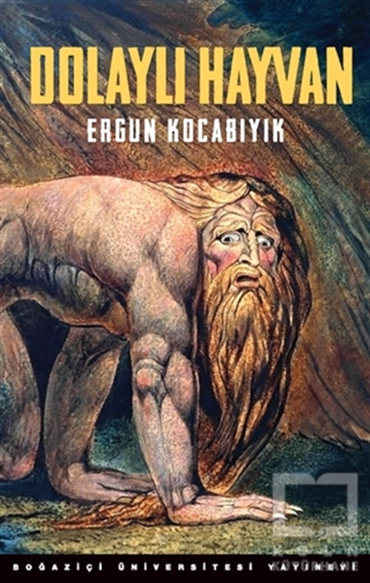 Ergun KocabıyıkTürk EdebiyatıDolaylı Hayvan ( Gözden geçirilmiş 2. Basım)