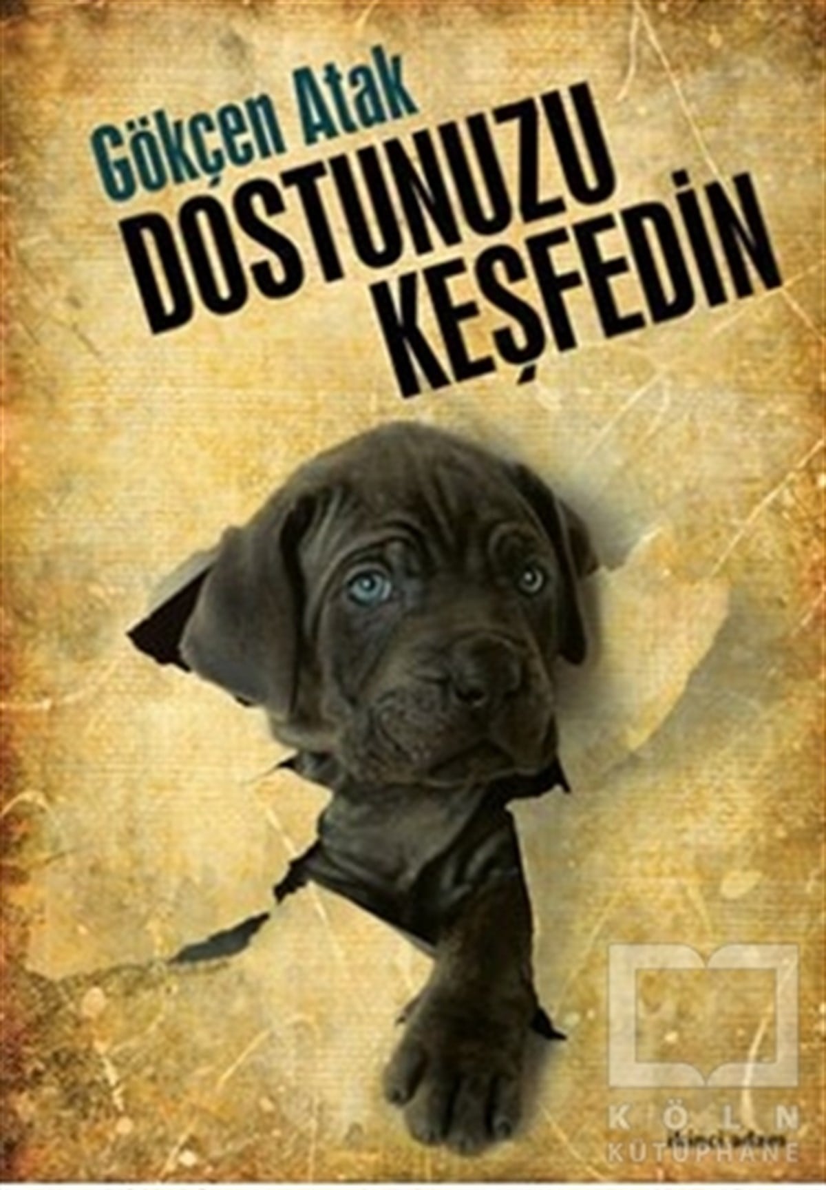 Gökçen AtakEbeveyn KitaplarıDostunuzu Keşfedin